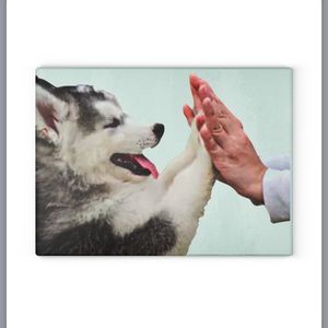 Siberian Husky glass cutting board